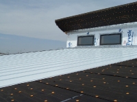 metalroof2